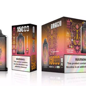 High Quality BANG BOX S1 15000 Puffs Disposable Vape Pen with Type C Fast Charging and Netcore Heating